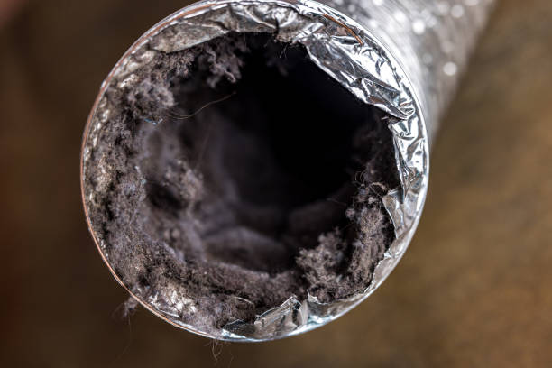 Best Affordable Air Duct Cleaning  in Pella, IA